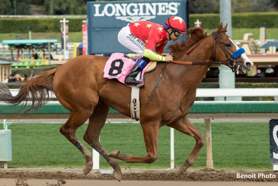 JUSTIFY USA x TINGU FR Chestnut Filly with CIARON MAHER RACING